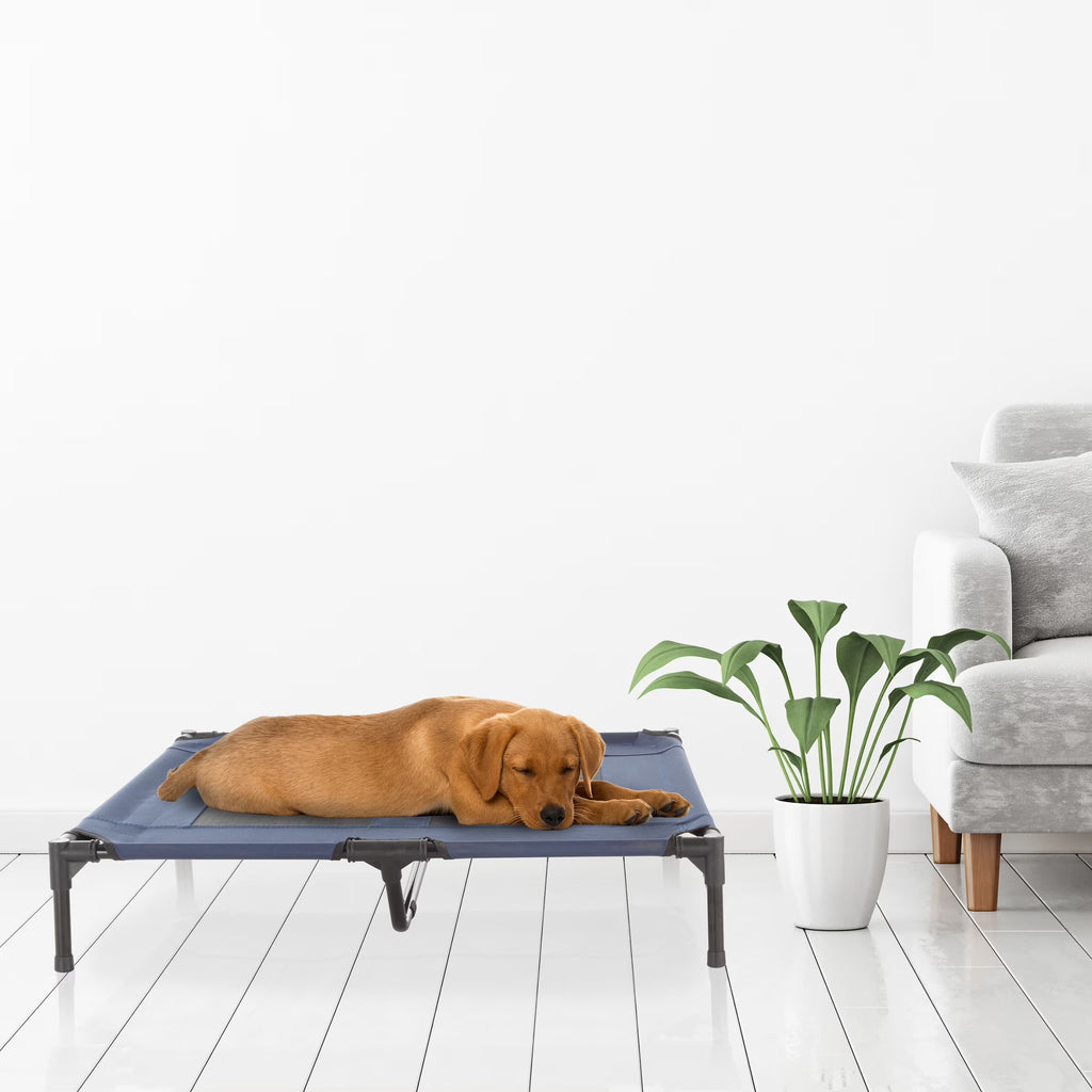 36X29.75-Inch Elevated Dog Bed - Indoor/Outdoor Cot for Pets, Blue